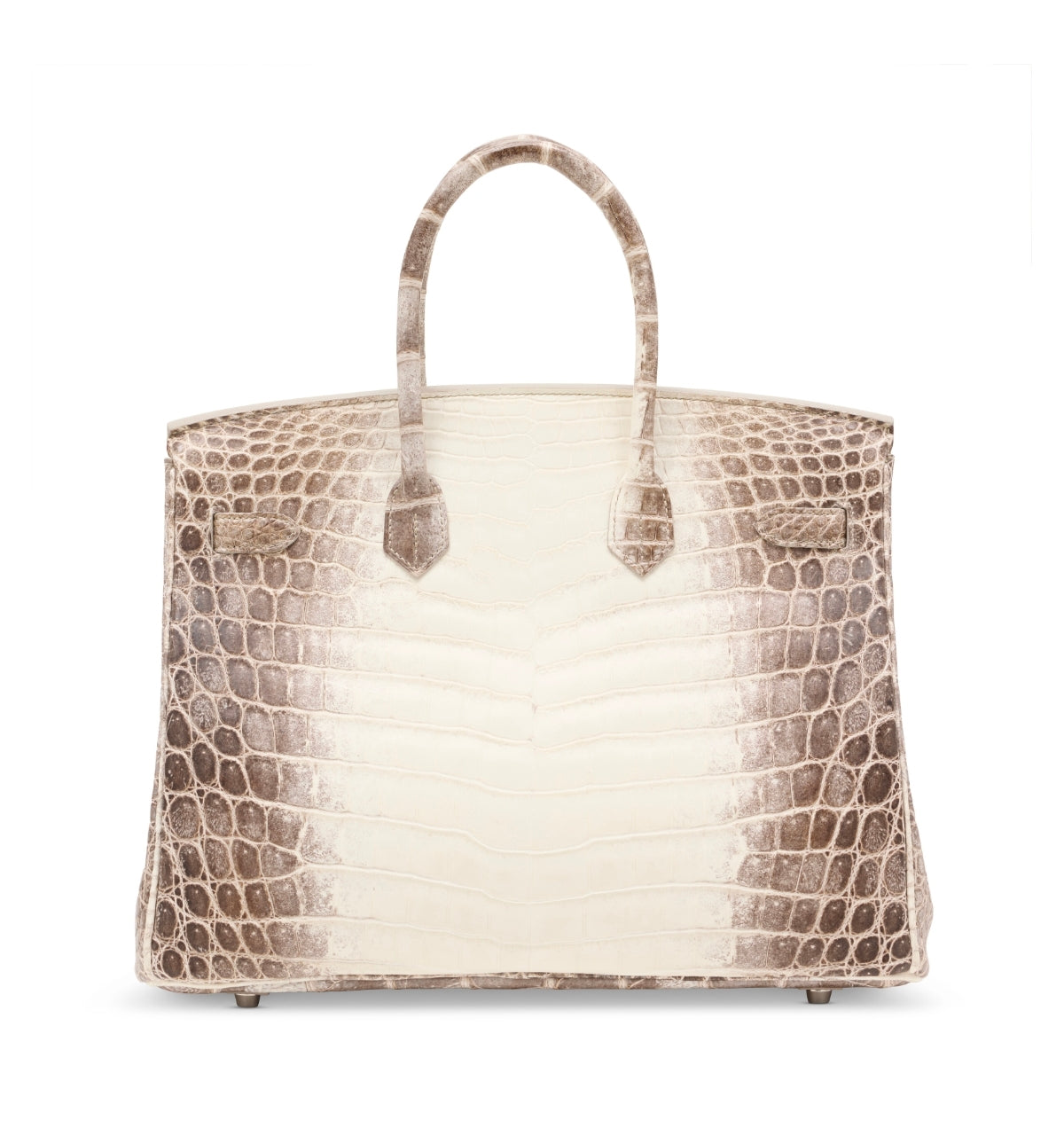 A RARE - HIMALAYA BIRKIN 35