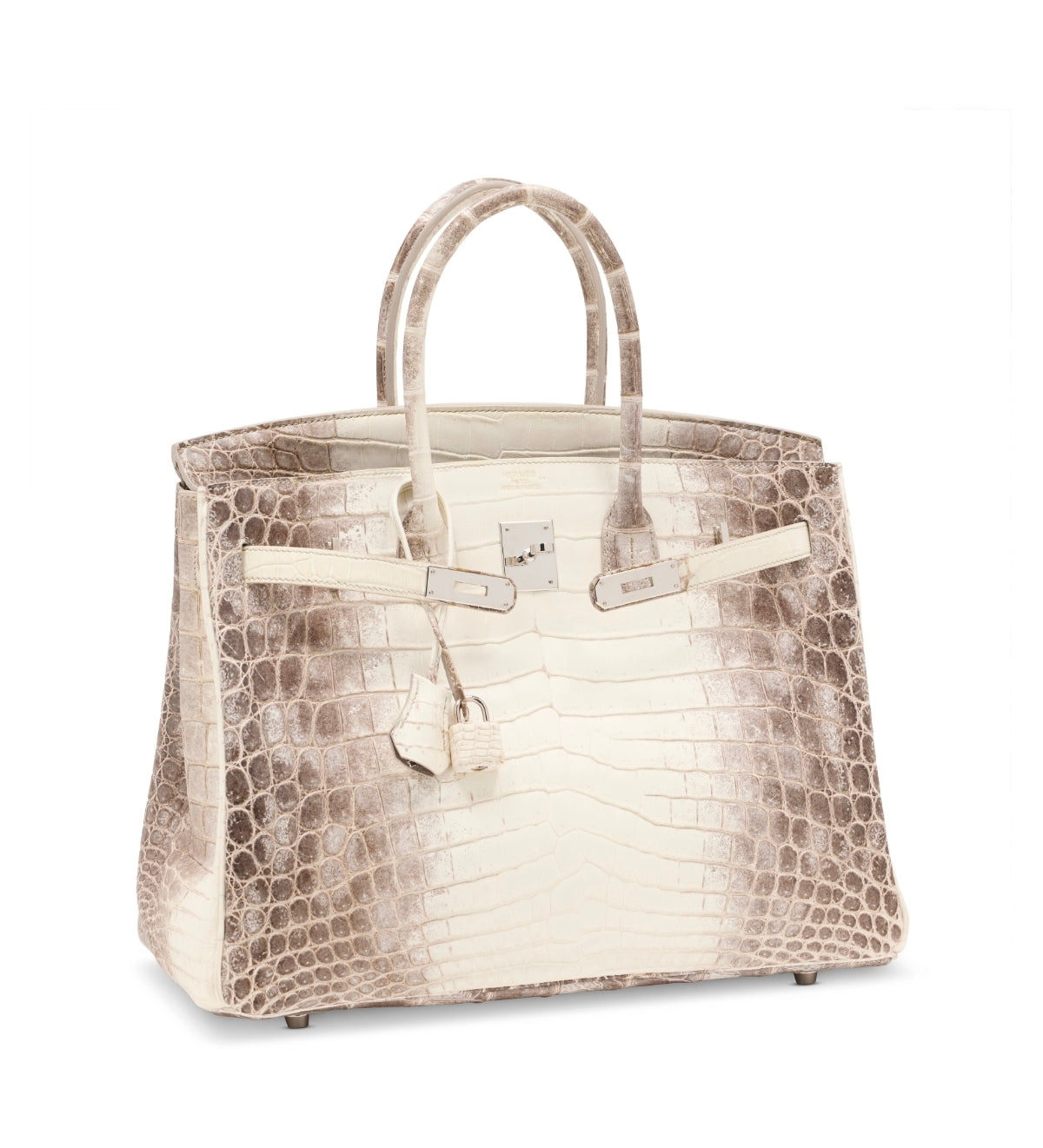 A RARE - HIMALAYA BIRKIN 35