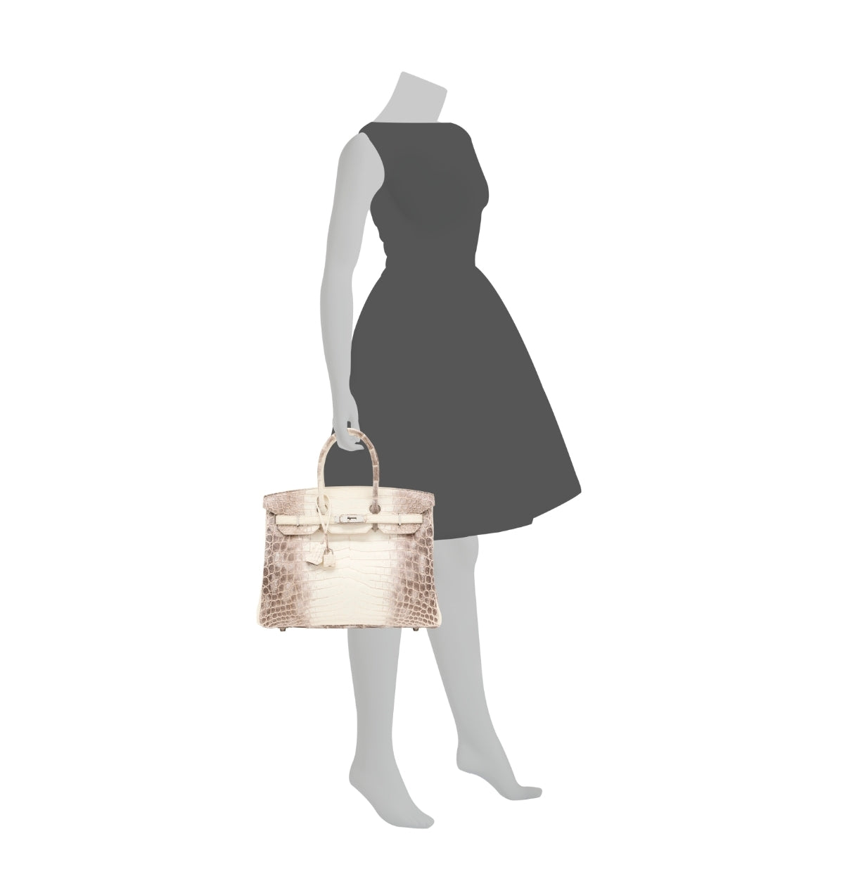 A RARE - HIMALAYA BIRKIN 35